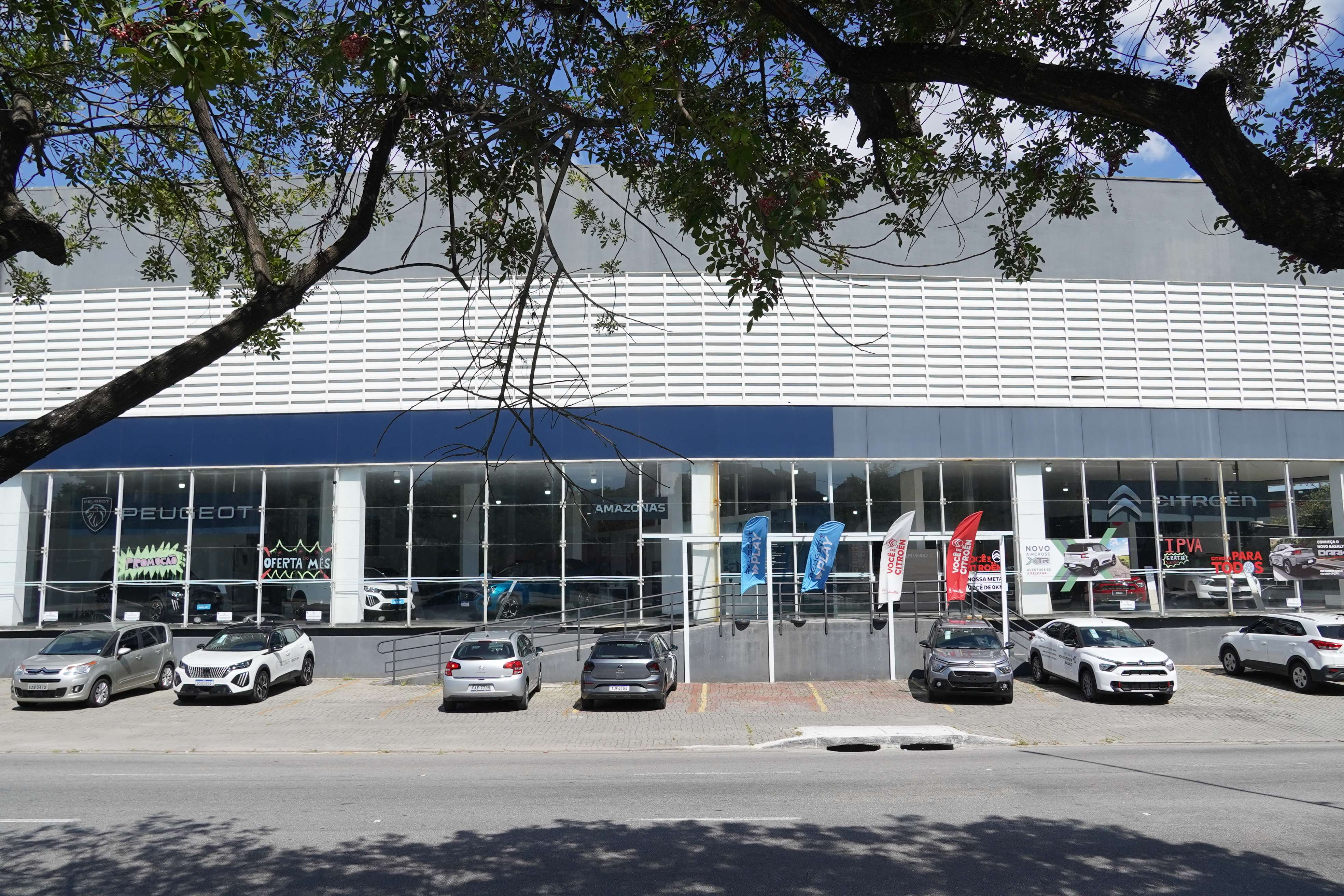 Citroën Amazonas - Casa Verde