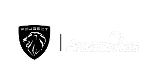 grupo amazonas peugeot
